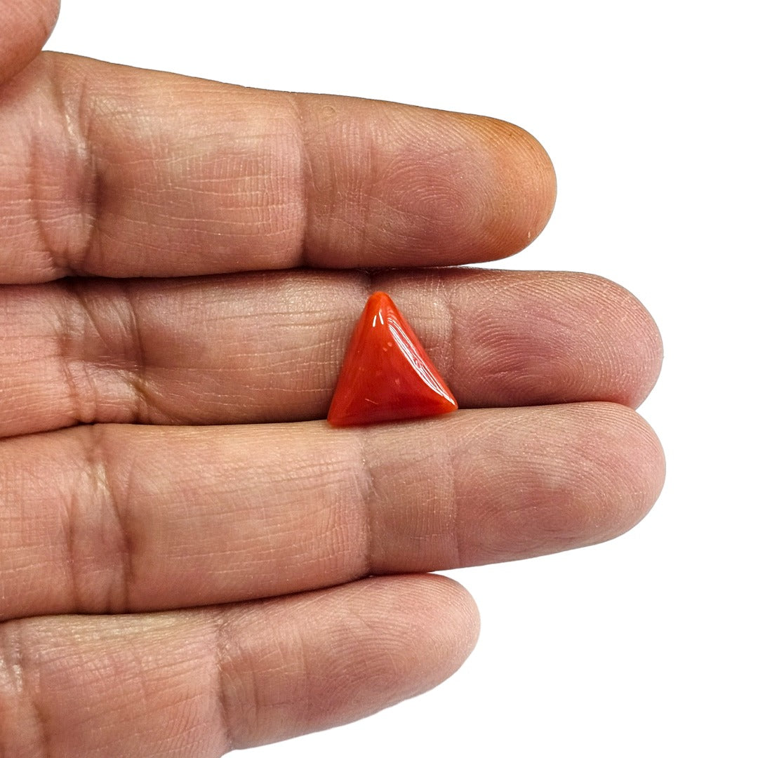 Certified Red Coral (Moonga) 5.55 Cts. (6.10 Ratti) Italy MEZI94-45