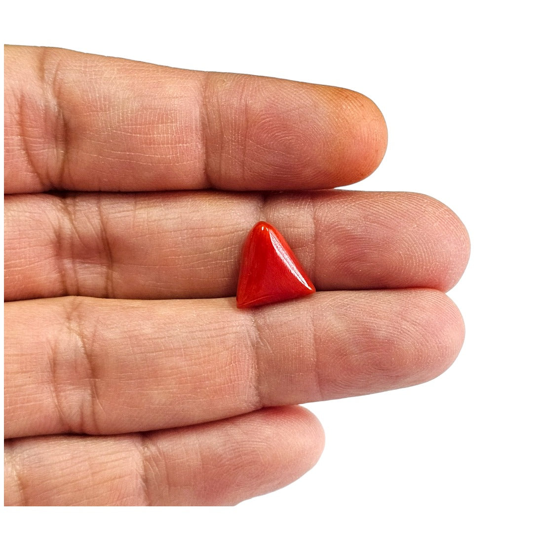 Certified Red Coral (Moonga) 5.55 Cts. (6.11 Ratti) Italy MEZI94-49