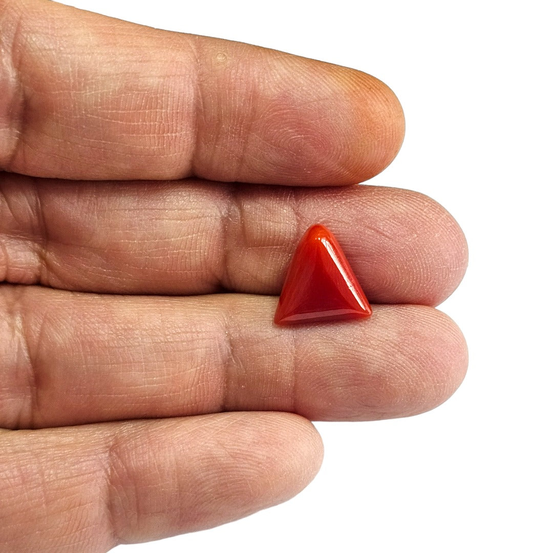 Certified Red Coral (Moonga) 5.51 Cts. (6.06 Ratti) Italy MEZI94-51