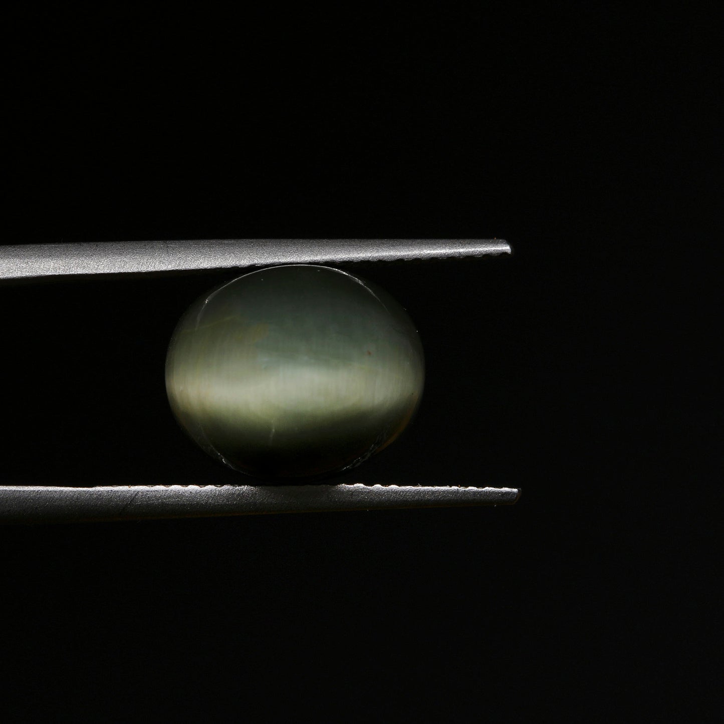 Certified Cat's Eye Quartz (Lahsunia) 7.75 Cts. (8.53 Ratti) GVVD45