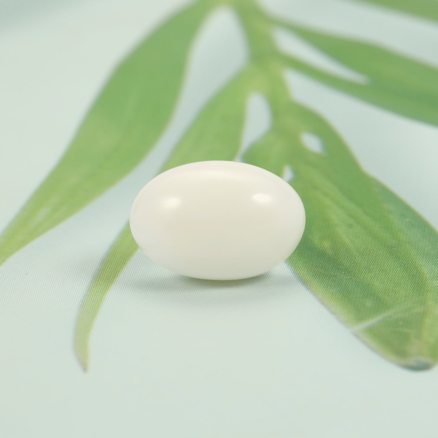 Certified Coral (Safed Moonga) 7.95 Cts. (8.74 Ratti) Japan