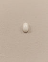 Certified Coral (Safed Moonga) 12.49Cts (13.7 ratti) SKU CO-01