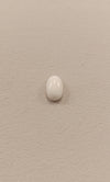 Certified Coral (Safed Moonga) 12.65 Cts (13.88 ratti) Italian SKU CO-02
