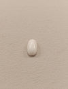Certified Coral (Safed Moonga) 12.76 Cts (14.00 ratti) Italian SKU C0-03