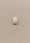 Certified Coral (Safed Moonga) 14.29 Cts ( 15.68 Ratti) Italian SKU- C0-05