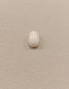 Certified Coral (Safed Moonga) 15.71 Cts. (17.24 Ratti) Italian CO-09
