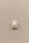 Certified Coral (Safed Moonga) 17.80 Cts. (19.53 Ratti) Italian SKU- CO-10
