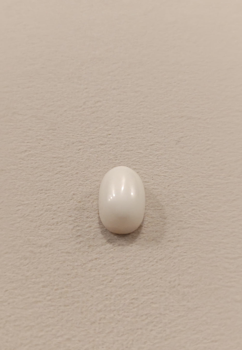 Certified Coral (Safed Moonga) 17.80 Cts. (19.53 Ratti) Italian SKU- CO-10