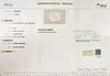 Certified Yellow Sapphire-3.53 Carats (3.88 Ratti) Sri Lanka (Ceylon), SKU:POZI98