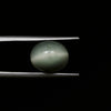 Certified Cat's Eye Quartz (Lahsunia) 7.67 Cts. (8.43 Ratti) AWVD30