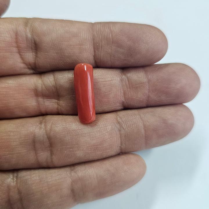 Natural Red Coral (Moonga) 8.01 Cts. (8.81 Ratti) Italy