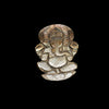 Black Pearl Carving Ganesha 5.60 Carats