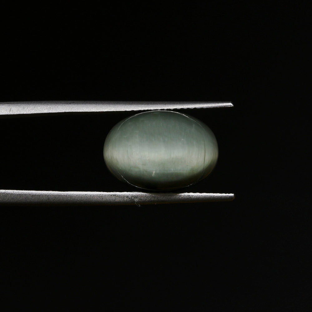 Certified Cat's Eye Quartz (Lahsunia) 9.24 Cts. (10.16 Ratti) BPVD79