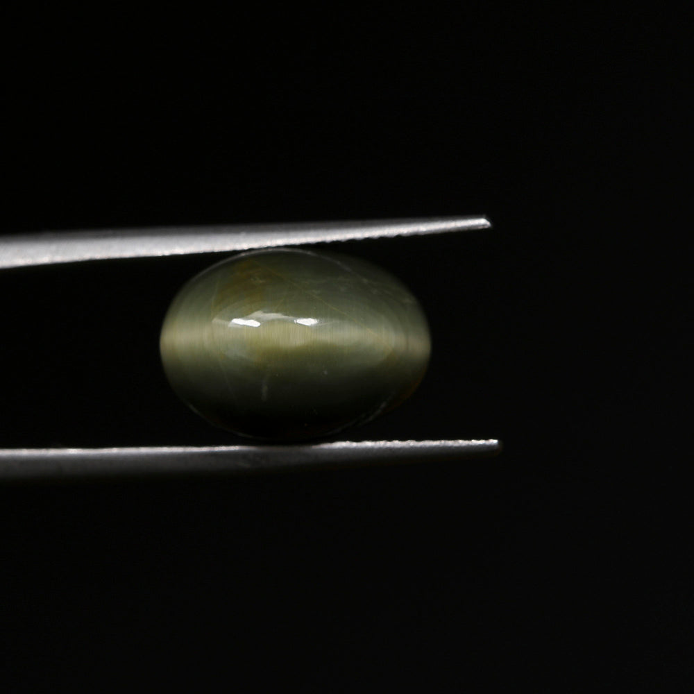 Certified Cat's Eye Quartz (Lahsunia) 8.01Cts. (8.81 Ratti) BSVD34