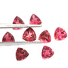 2Pc Lot Pink Tourmaline (Trillion 4.5x4.5mm) 0.65 Carats CJLU56