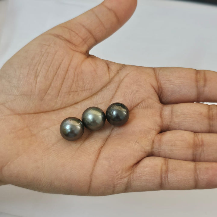 Tahitian Black Pearl 13-13mm Undrilled 14.70 Carats (16.17Ratti)