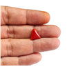 Certified Red Coral (Moonga) 5.55 Cts. (6.11 Ratti) Italy MEZI94-49