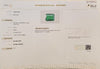 Certified Emerald (Panna)-5.96 Carats (6.55 Ratti) Zambia, SKU: DF0305
