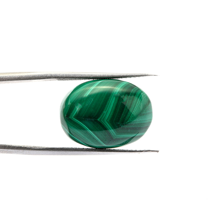 Natural Malachite Gemstone Oval Cabochon 19.65 Carats