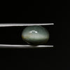 Certified Cat's Eye Quartz (Lahsunia) 9.50 Cts. (10.45 Ratti) EGVD37