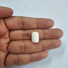 Certified Coral (Safed Moonga) 14.79 Cts. (16.27 Ratti) Japan EVZI46