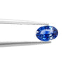 Ceylon Blue Sapphire 0.60 Carats FKCI02