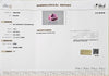 Tajakistan Pink Spinel Oval 1.40 Carats FTSM64