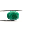 Natural Malachite Gemstone Oval Cabochon 18.50 Carats