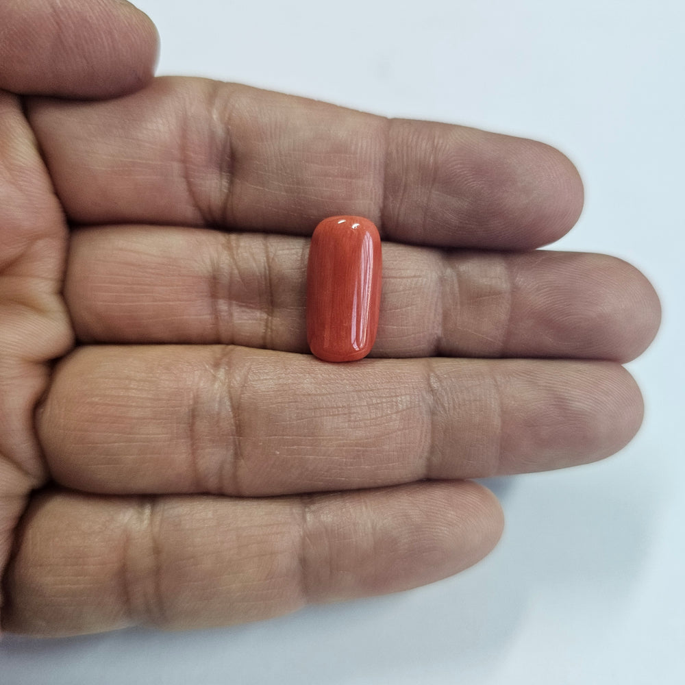 Certified Red Coral (Moonga) 8.72 Cts. (9.59 Ratti) Italy GBZI72