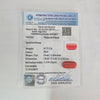 Certified Red Coral (Moonga) 8.72 Cts. (9.59 Ratti) Italy GBZI72