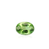 Paraiba Tourmaline Oval 0.30 Carats GOCI02