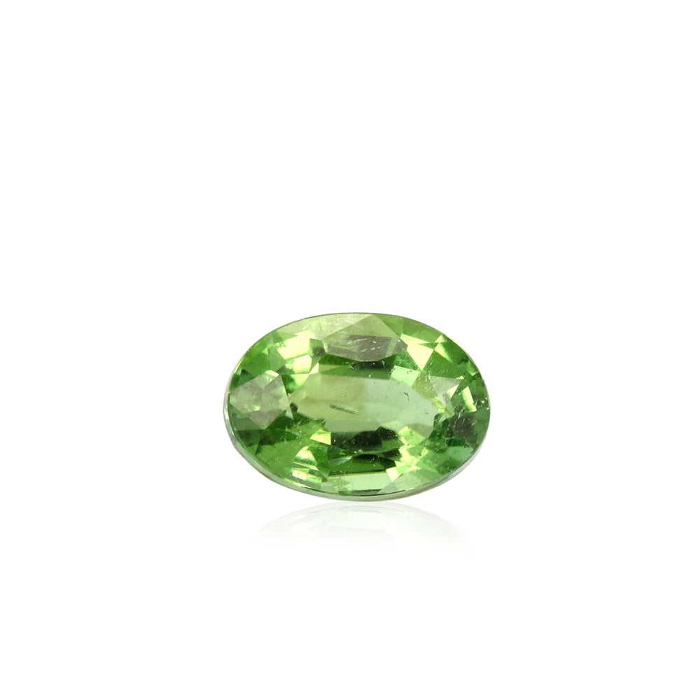 Paraiba Tourmaline Oval 0.30 Carats GOCI02