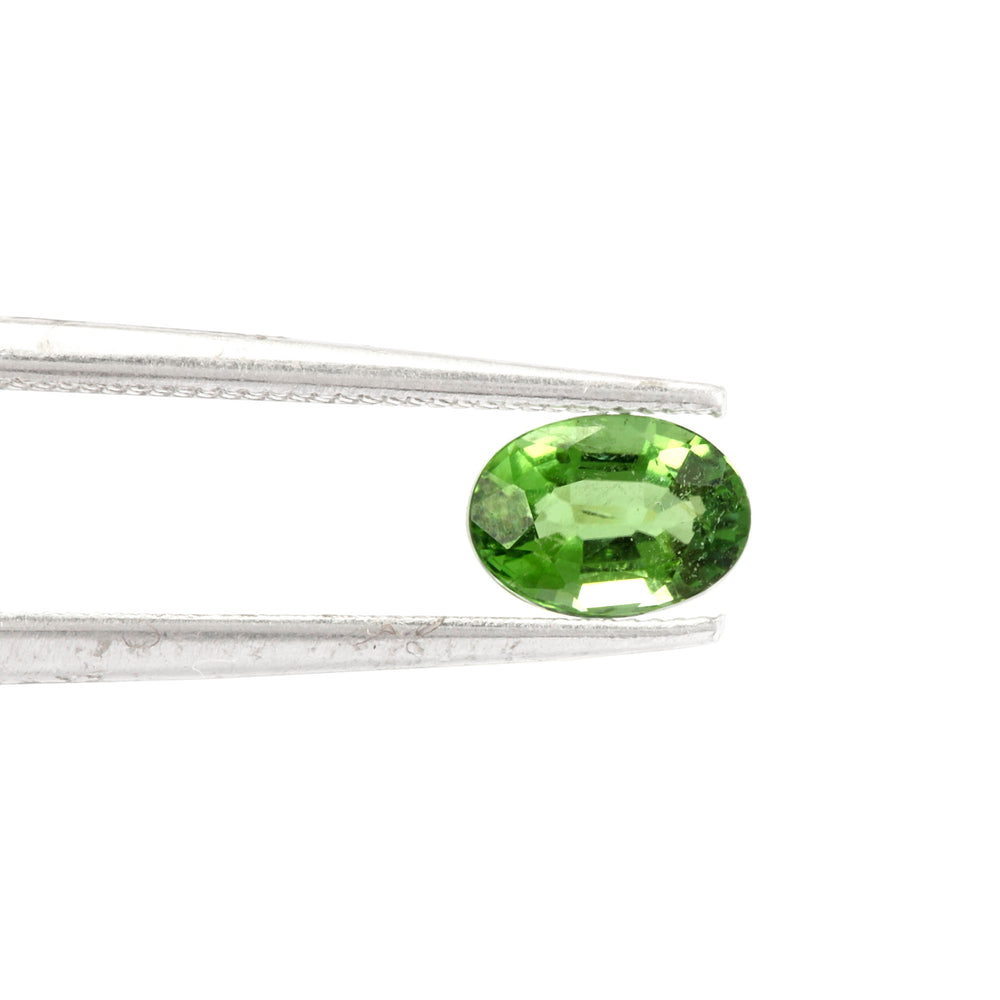 Paraiba Tourmaline Oval 0.30 Carats GOCI02
