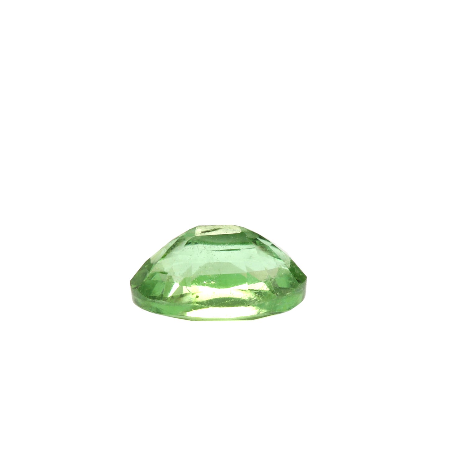 Paraiba Tourmaline Oval 0.30 Carats GOCI02