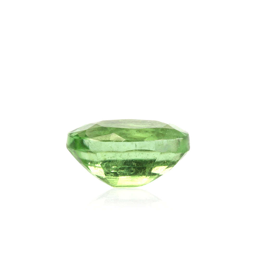 Paraiba Tourmaline Oval 0.30 Carats GOCI02