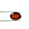 Certified Hessonite (Gomed) 7.05 Cts (7.75 Ratti) India LINF95