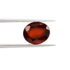 Certified Hessonite (Gomed) 6.44 Cts (7.08 Ratti) India ACNF31