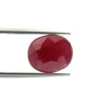 Certified Ruby (Manik) 5.86 Cartas (6.44 Ratti) SKU-HOZA82