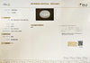 Certified Australian Opal 7.74 Cts (8.51 Ratti) IAZI10