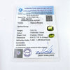 Certified Peridot Cushion 2.61 Carats - IN0354
