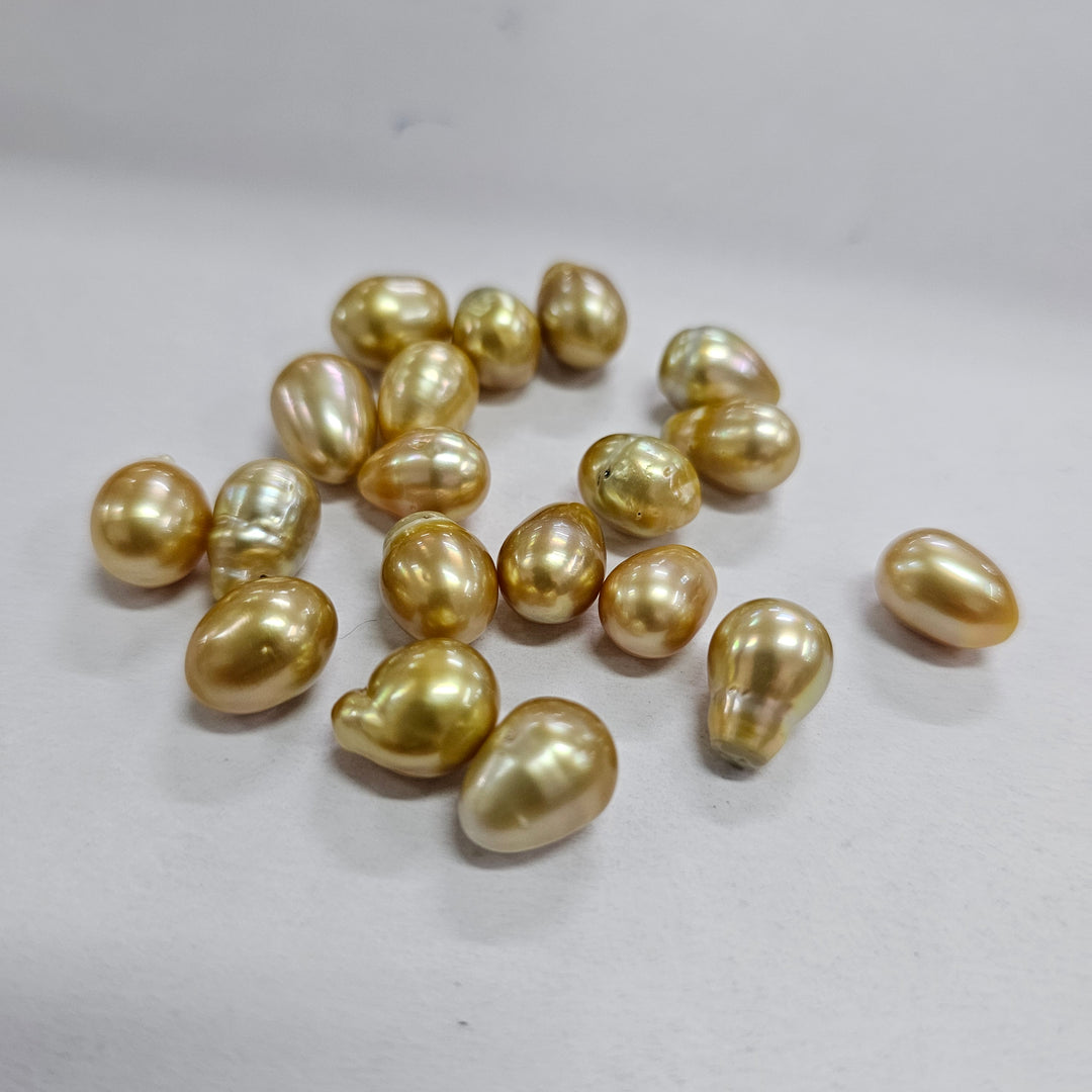Certified Golden South Sea Pearl 14-8mm Undrilled 7.84 Carats (8.62 Ratti) Australia