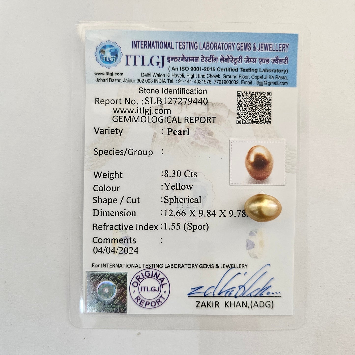 Certified Golden South Sea Pearl Undrilled 8.30 Carats (9.13 Ratti) Australia IPCI18