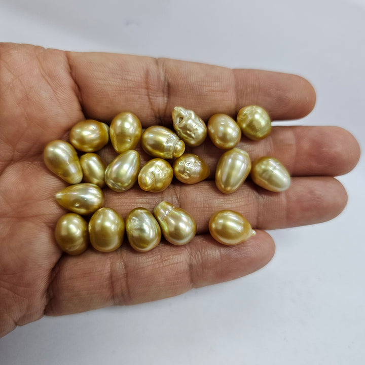 Certified Golden South Sea Pearl 14-8mm Undrilled 7.84 Carats (8.62 Ratti) Australia