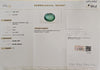 Certified Zambian Emerald (Panna)-14.53 Carats (15.98 Ratti) Zambia, SKU:JA0325