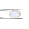 Certified Moonstone 9.08 Cts (9.98 Ratti) JBEW51
