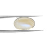 Certified Moonstone 7.35 Cts (8.08 Ratti) JCEW84