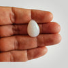 Opal 13.34 Carats JWDG34