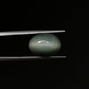 Certified Cat's Eye Quartz (Lahsunia) 8.60 Cts. (9.46 Ratti) JXVD36