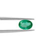 Colombian Emerald Oval 0.60 Carats LECI72