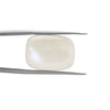Certified Moonstone 12.56 Cts (13.81 Ratti) LFEW18